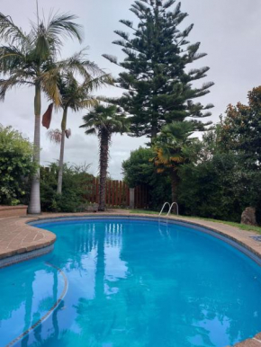 Sanctuary 4, Tauranga
